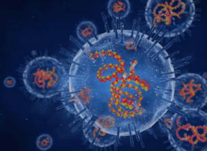 Screenshot_20250308-074759