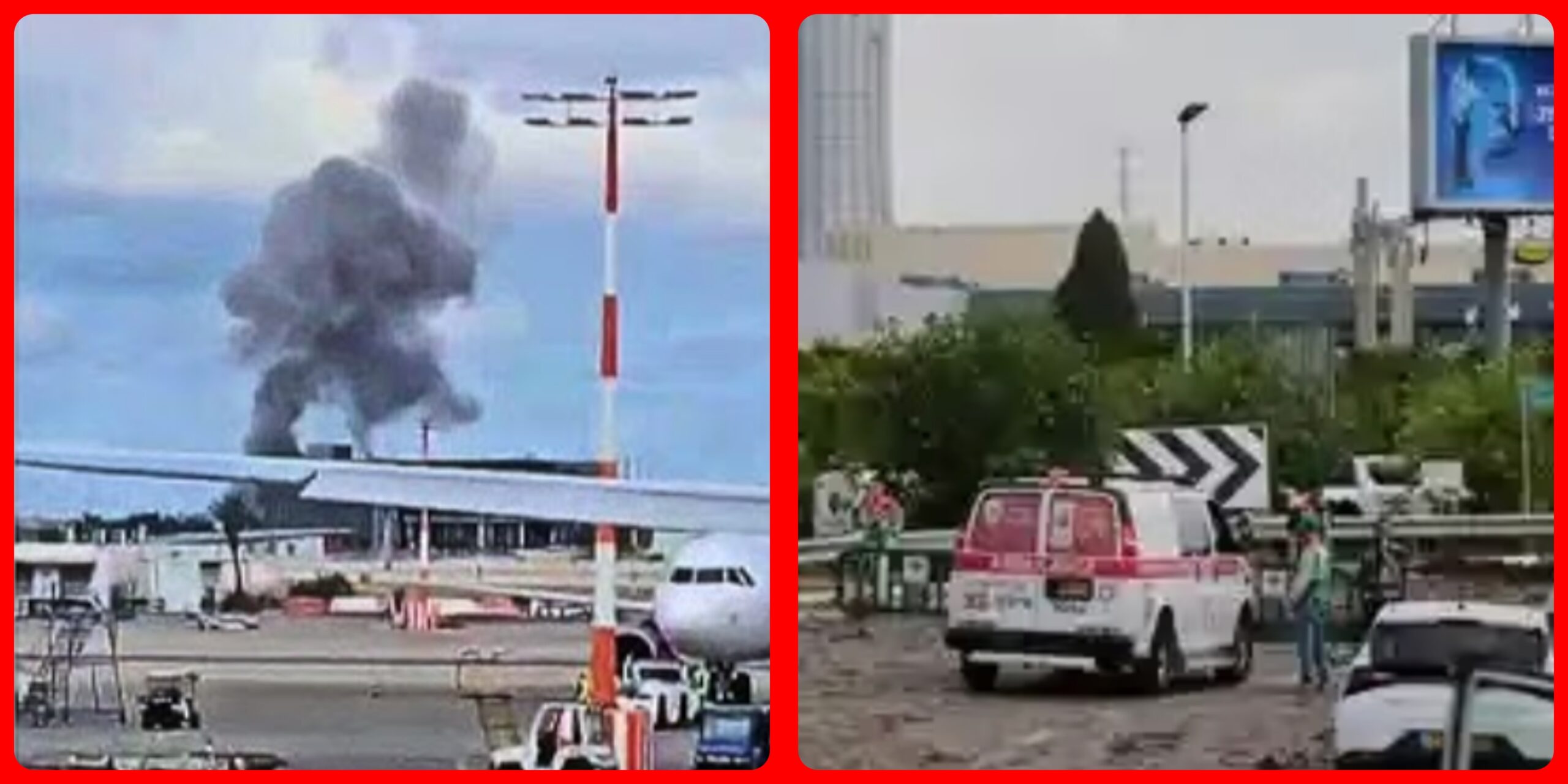 InCollage_20250504_092923136