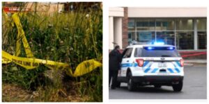 InCollage_20250705_113611895