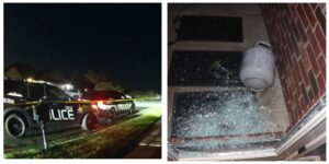 InCollage_20250712_101305347