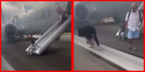 InCollage_20250727_080950304