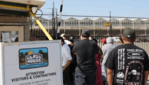 Screenshot_20250712-215810