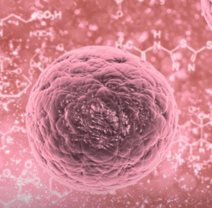 Screenshot_20250713-125042