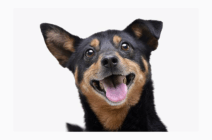 Screenshot_20250721-161655