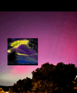 Screenshot_20250818-164904.InCollage - Collage Maker