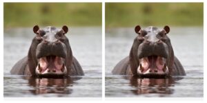 InCollage_20250907_080907625