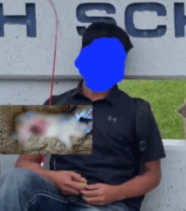 Screenshot_20250917-212131.InCollage - Collage Maker