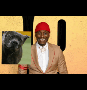 Screenshot_20250929-204526.InCollage - Collage Maker