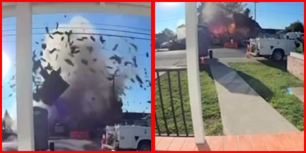 InCollage_20251211_171544629