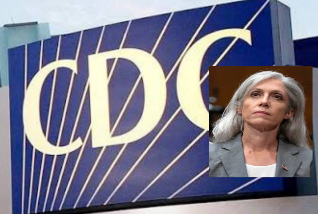 InCollage_20251212_204827280