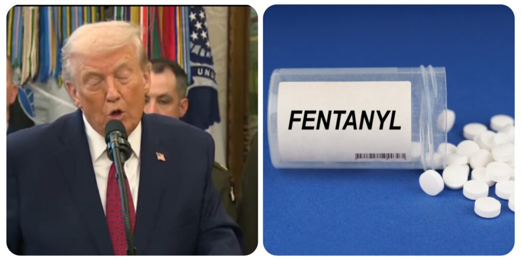 InCollage_20251215_174513847