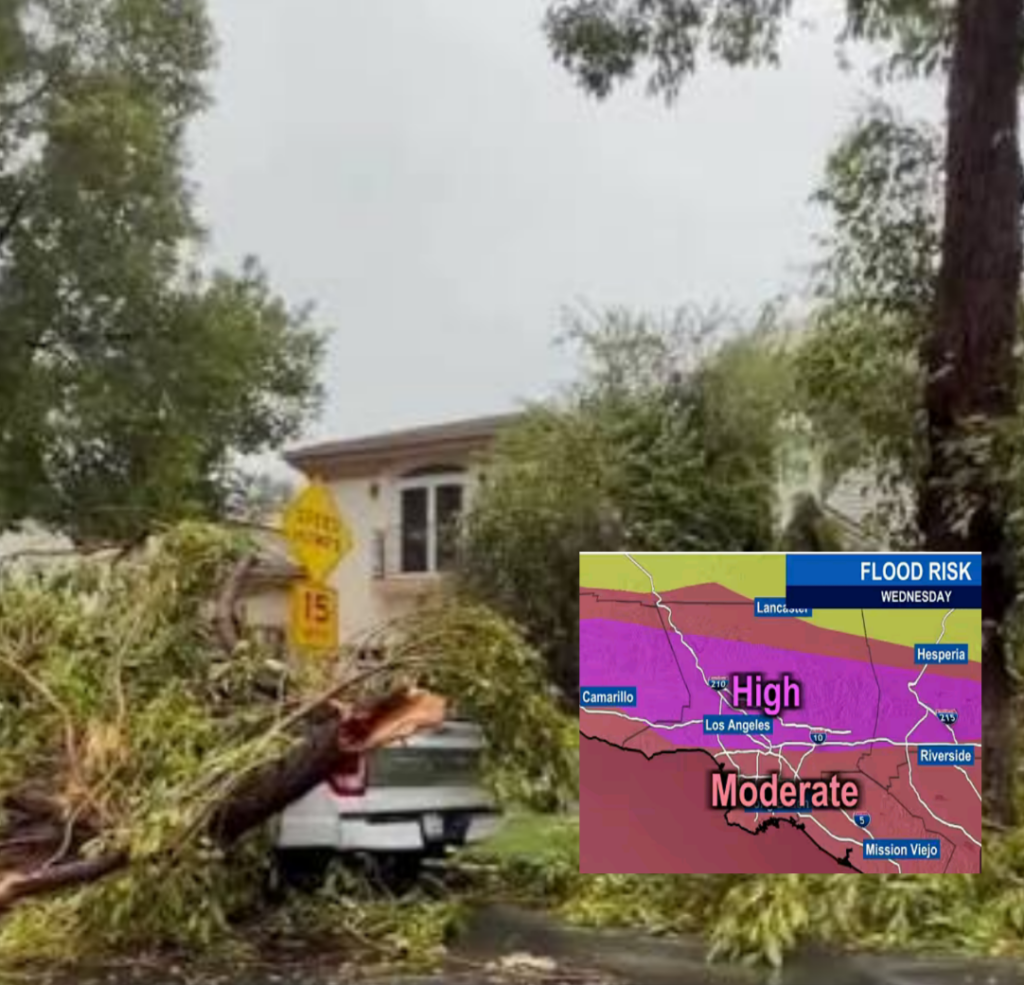 InCollage_20251224_195938774