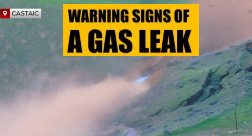 InCollage_20251228_092021509