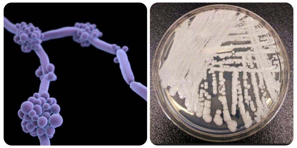 InCollage_20260104_085511051