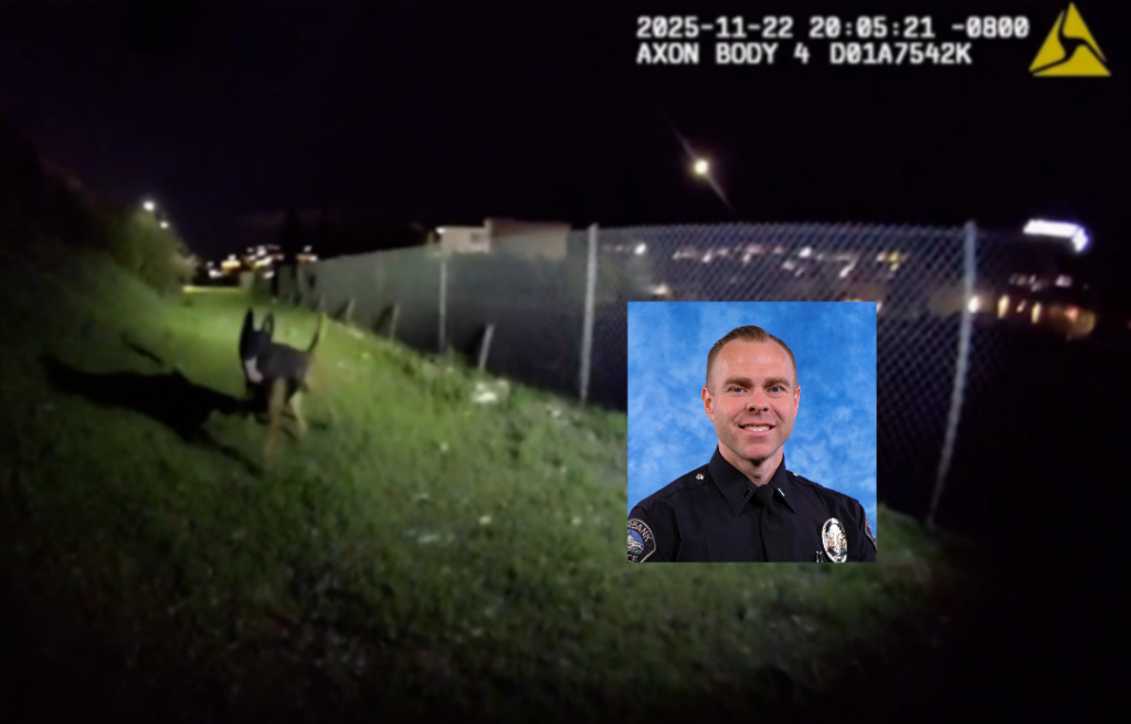 InCollage_20260111_085928693