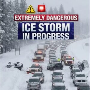 InCollage_20260125_072100538