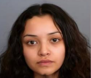 Screenshot_20260130-081448.Google