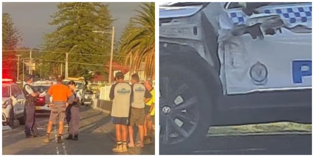 InCollage_20260208_093745737