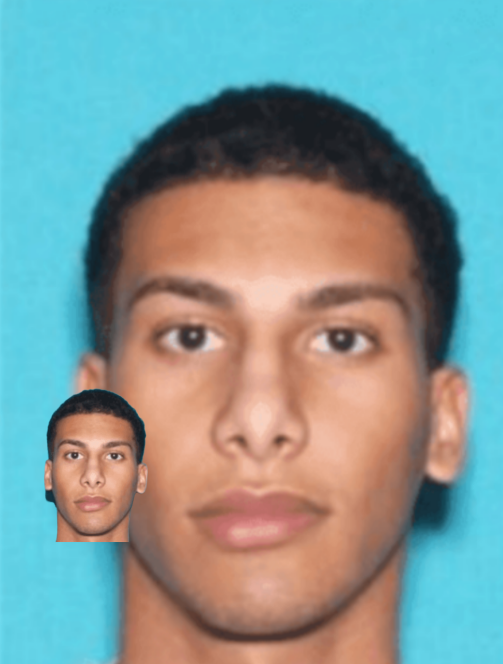 InCollage_20260213_192447208