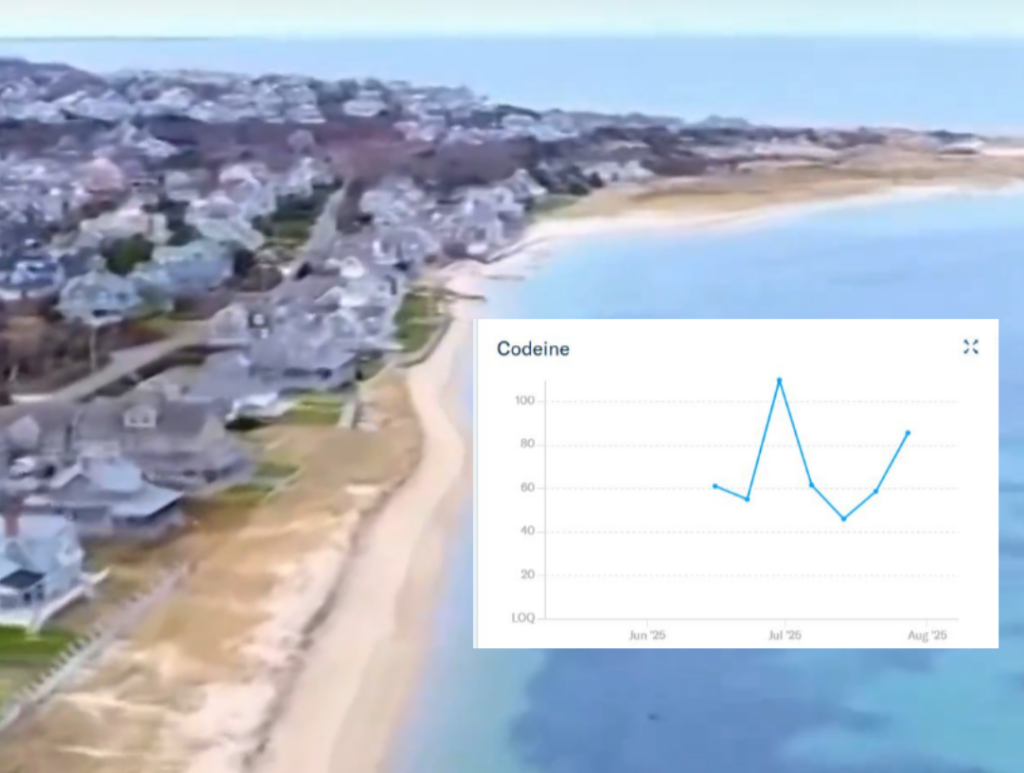 InCollage_20260216_193907734