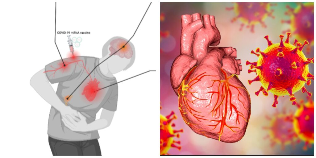 InCollage_20260307_091823620