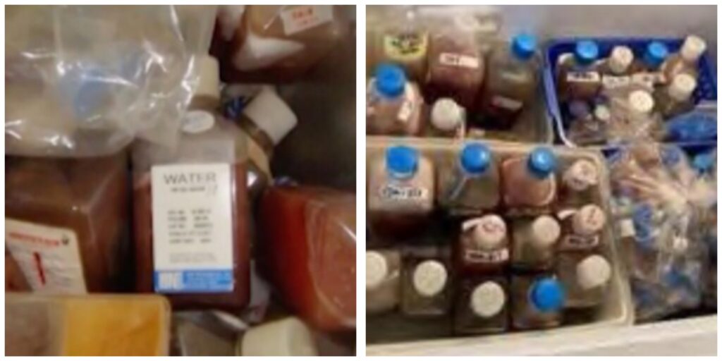 InCollage_20260405_115335540