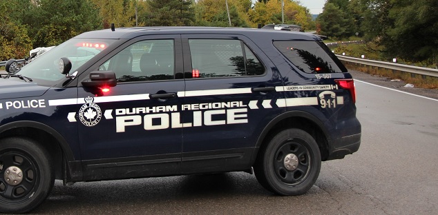 DRPS-CRUISER-36-co-DRPS-1