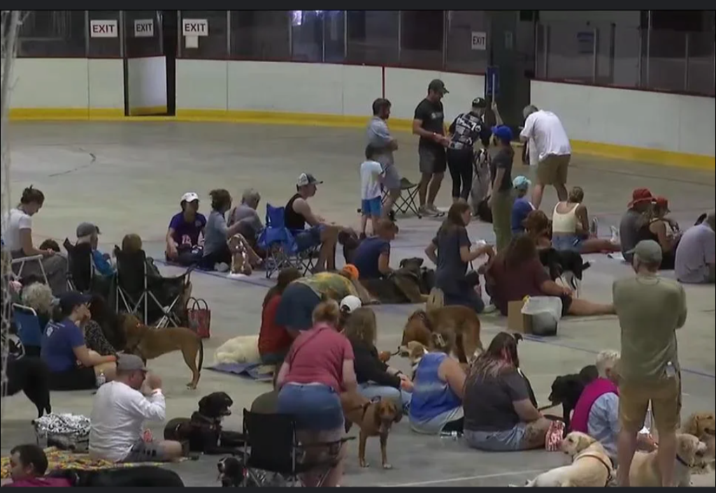 Screenshot_20240815-081525