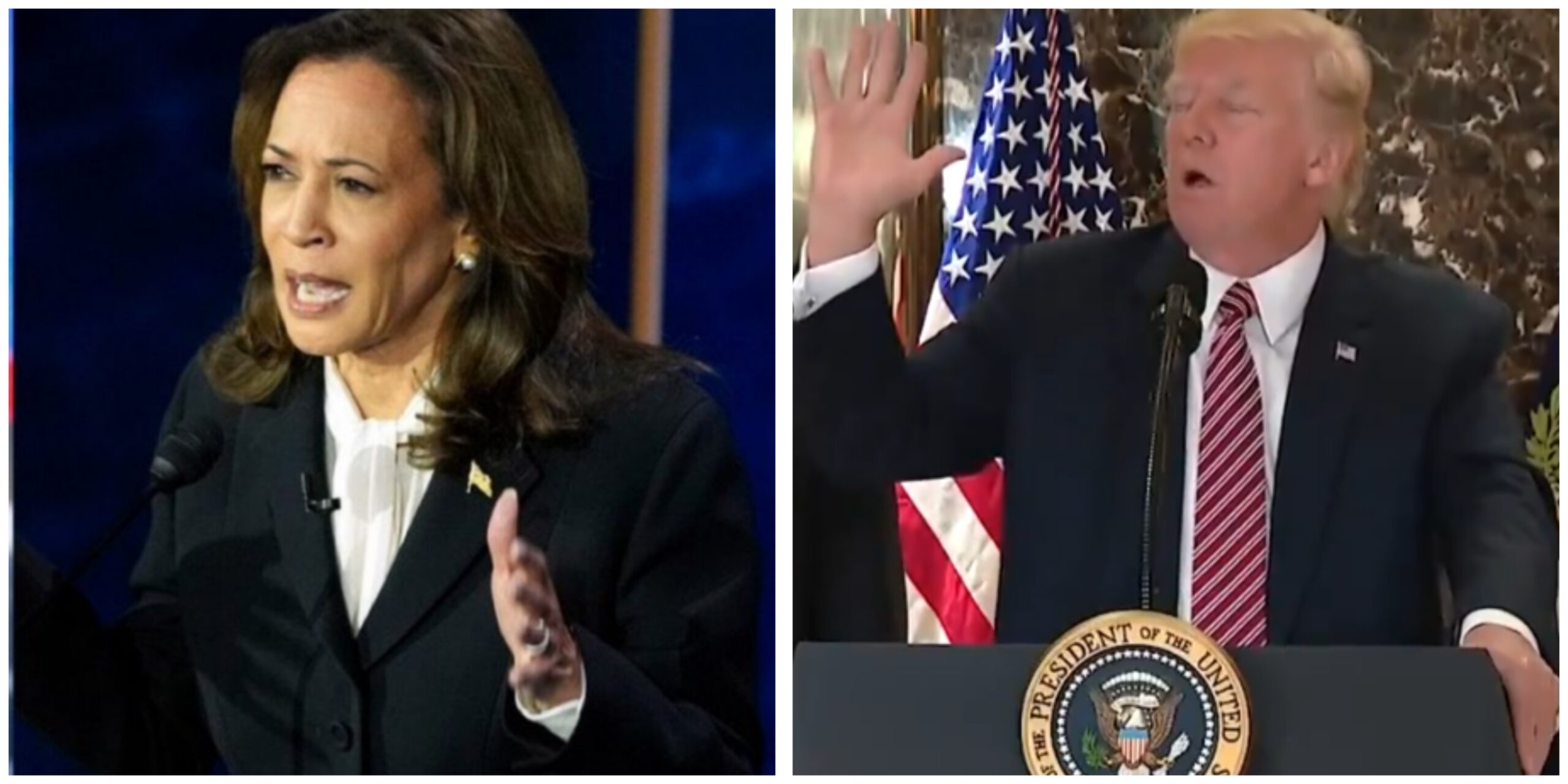 InCollage_20240915_121702193