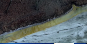 Screenshot_20250204-084957