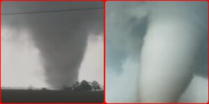 InCollage_20250403_085221075