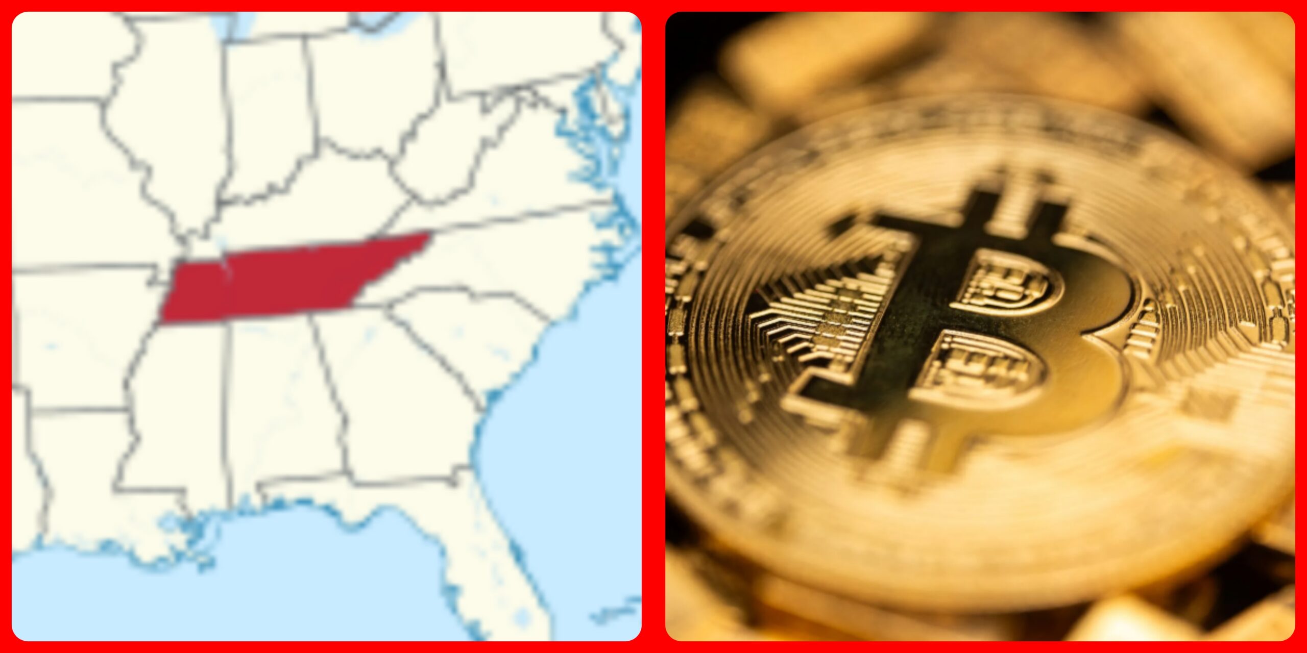 InCollage_20250427_084412743