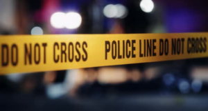 Screenshot_20250413-083138