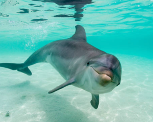 Screenshot_20250420-111942