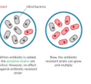 Screenshot_20250503-143200