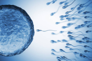 Screenshot_20250518-081603