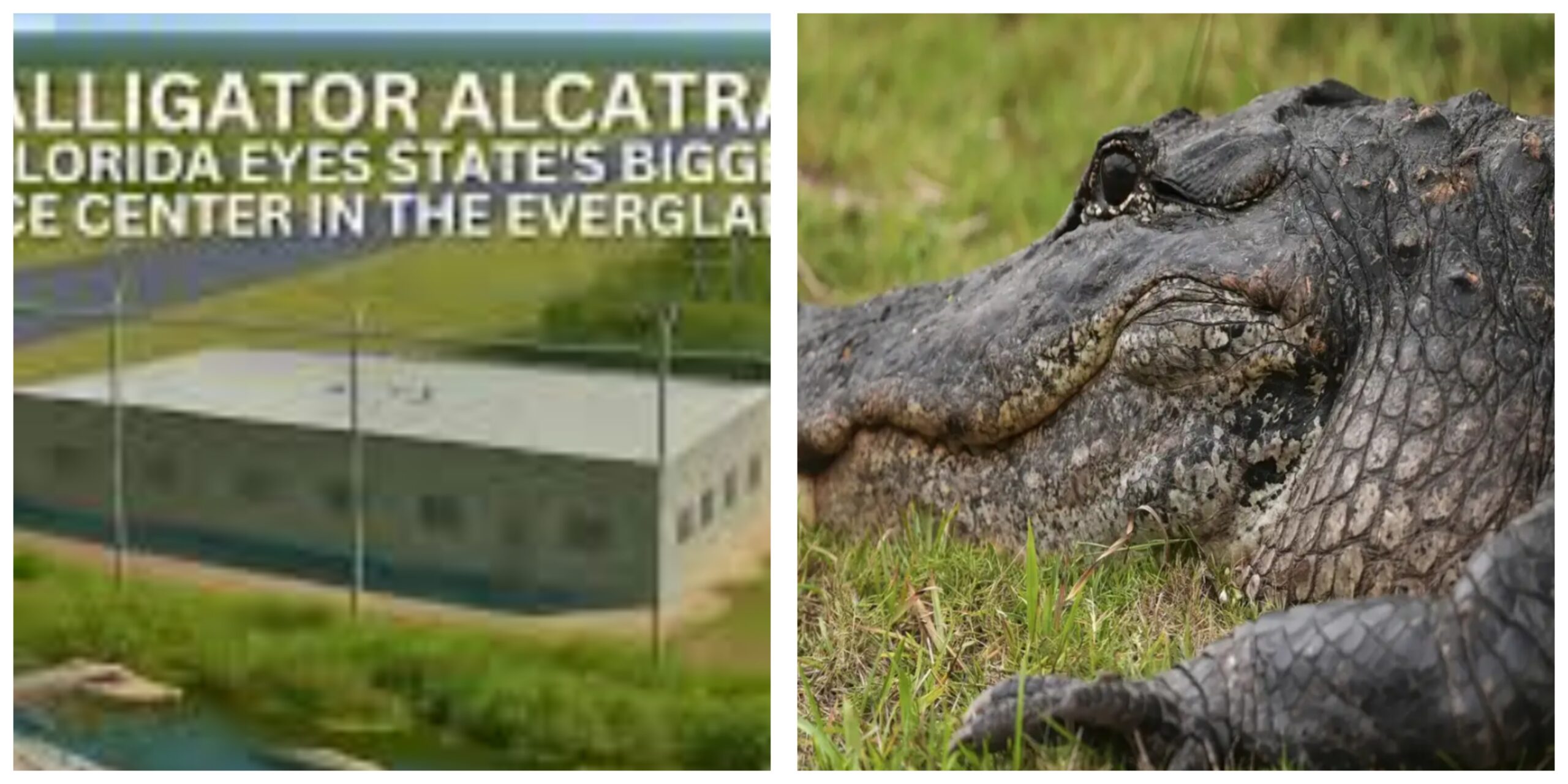 InCollage_20250623_201218040