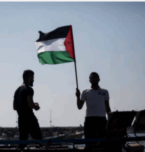 Screenshot_20250608-091956