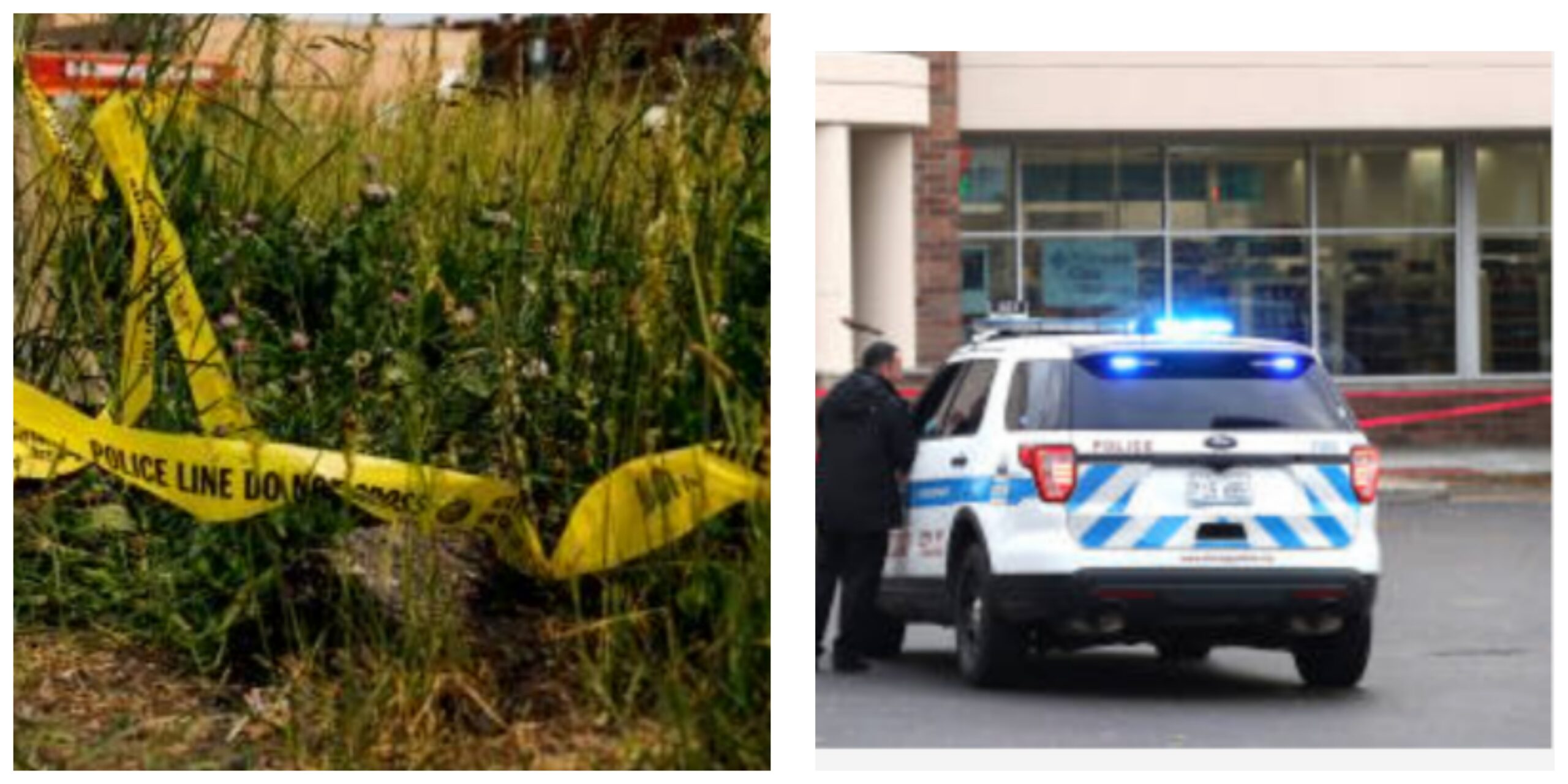 InCollage_20250705_113611895