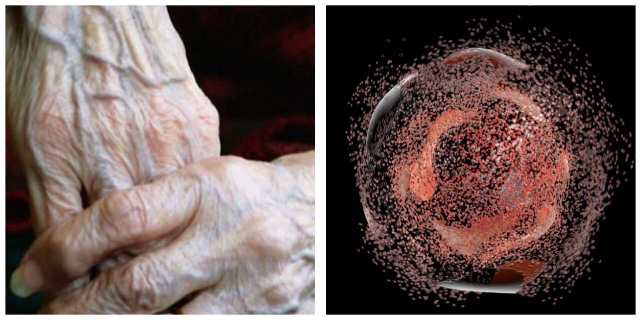 InCollage_20250724_130949842