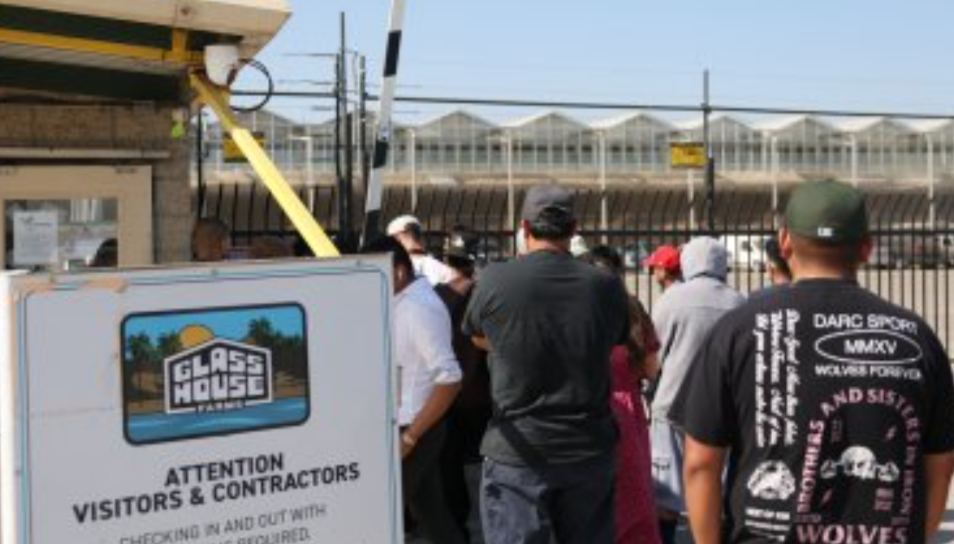 Screenshot_20250712-215810