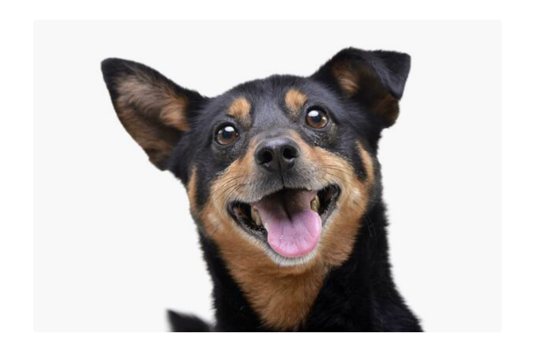 Screenshot_20250721-161655