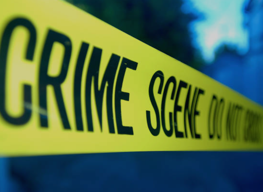 Screenshot_20250727-085125