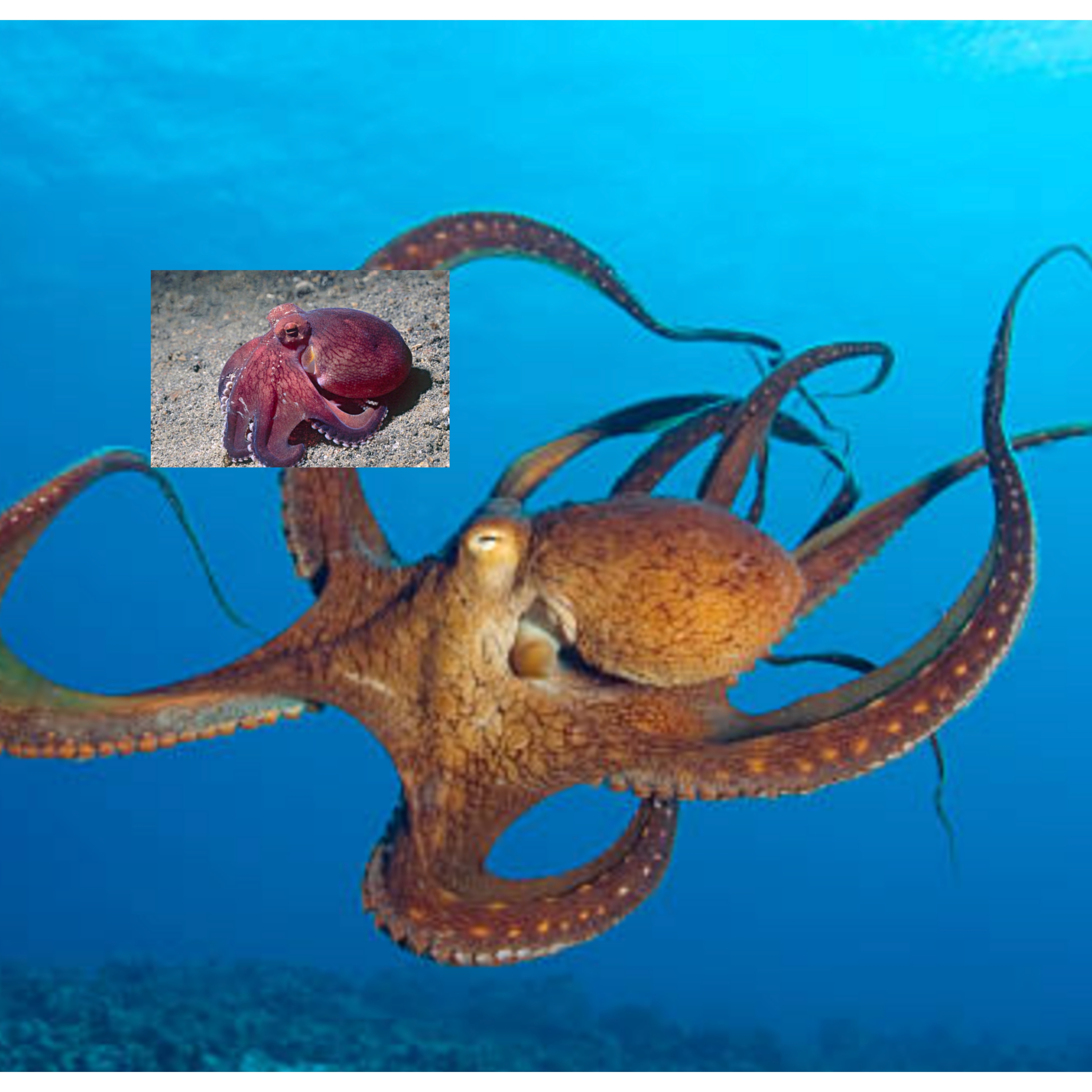 InCollage_20250802_152653007