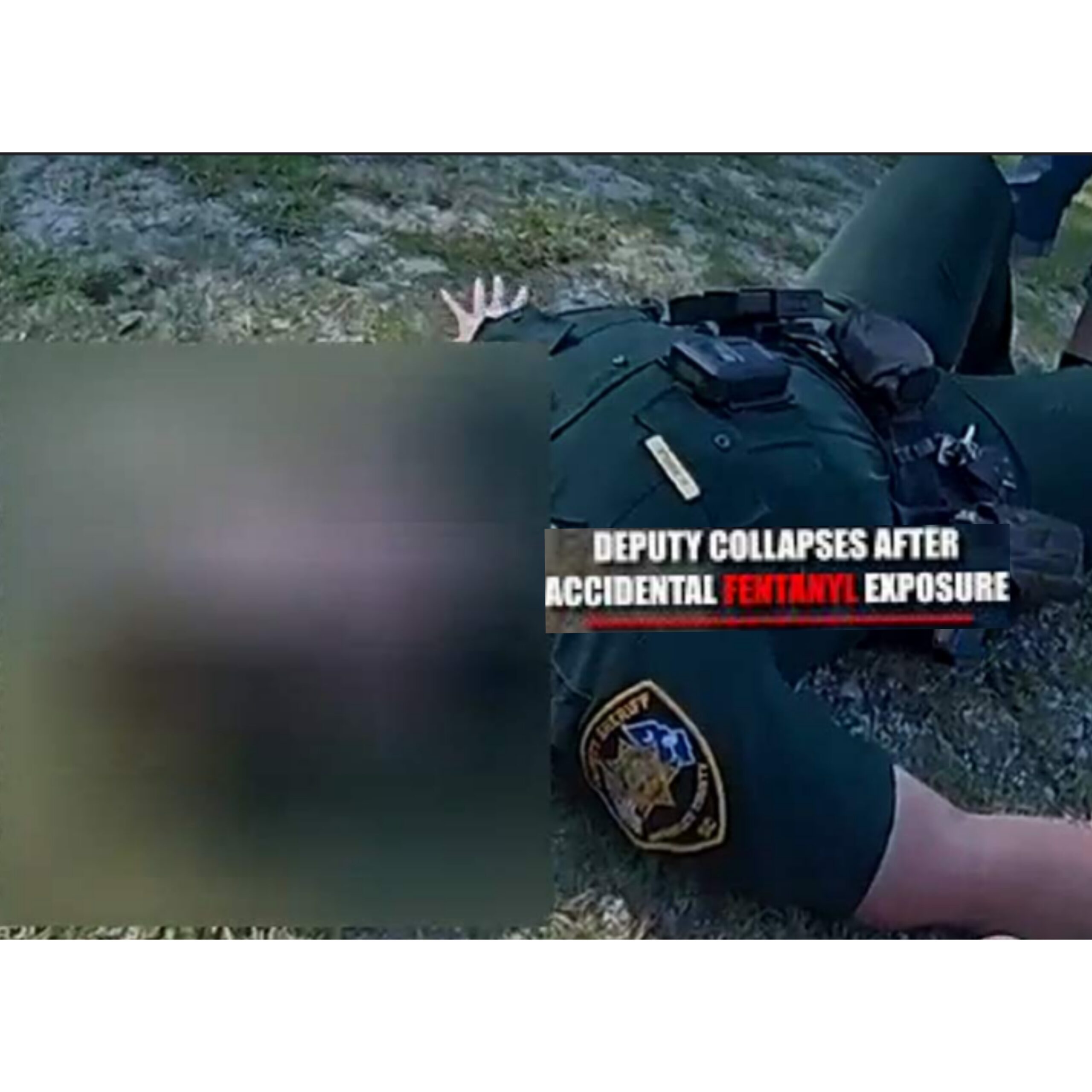 InCollage_20250802_165325714