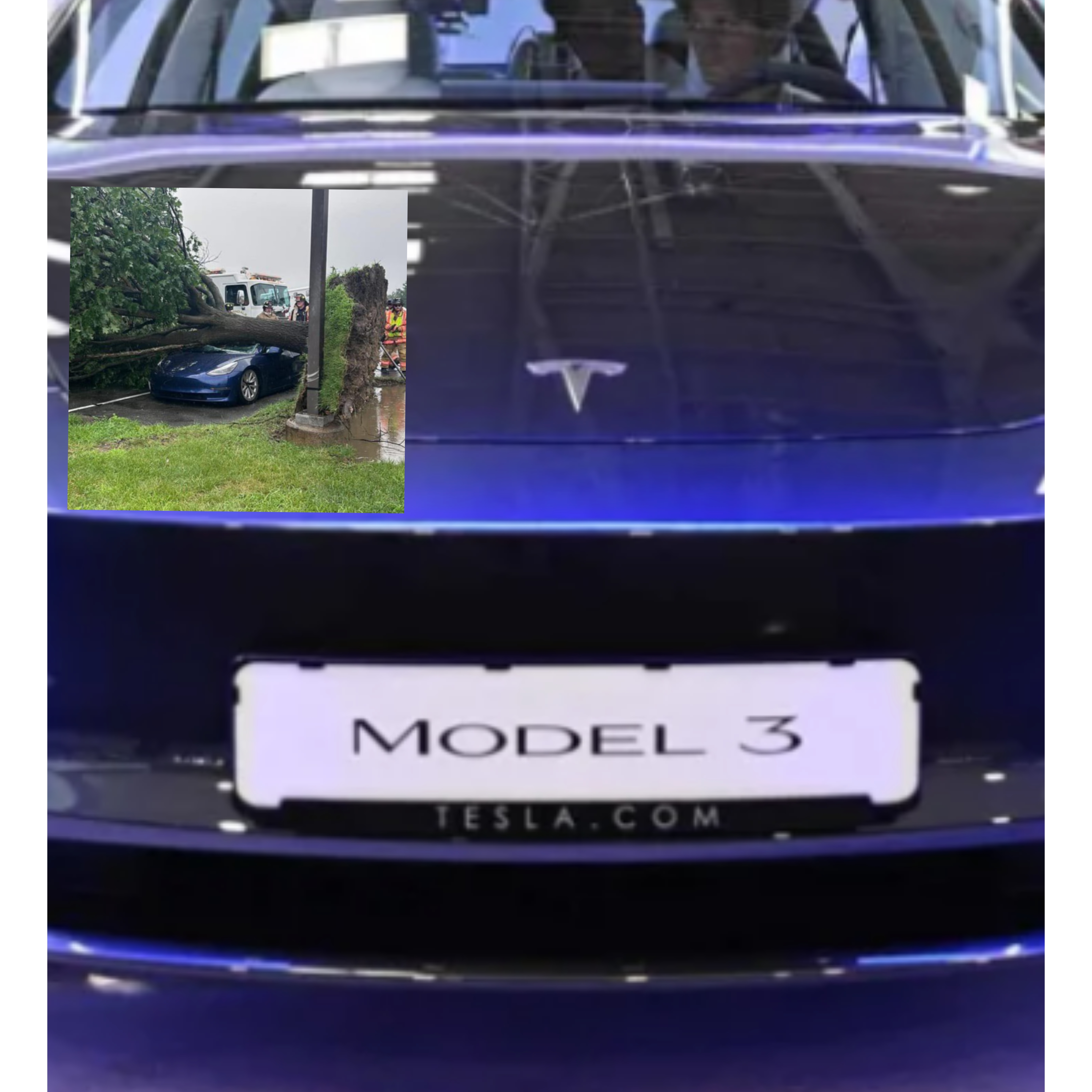 InCollage_20250802_210027250