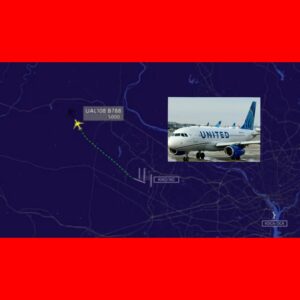 InCollage_20250803_211927314