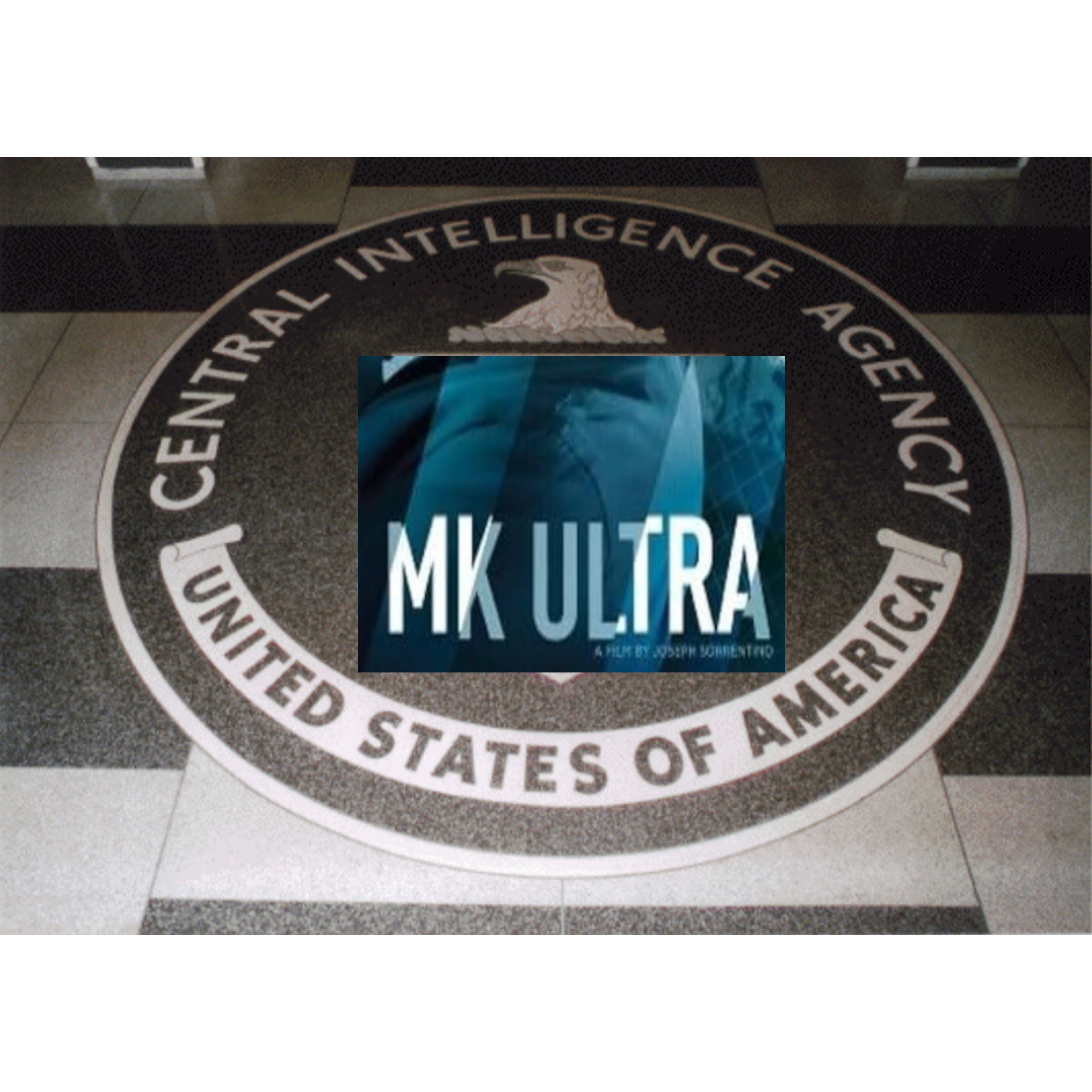 InCollage_20250805_220346436