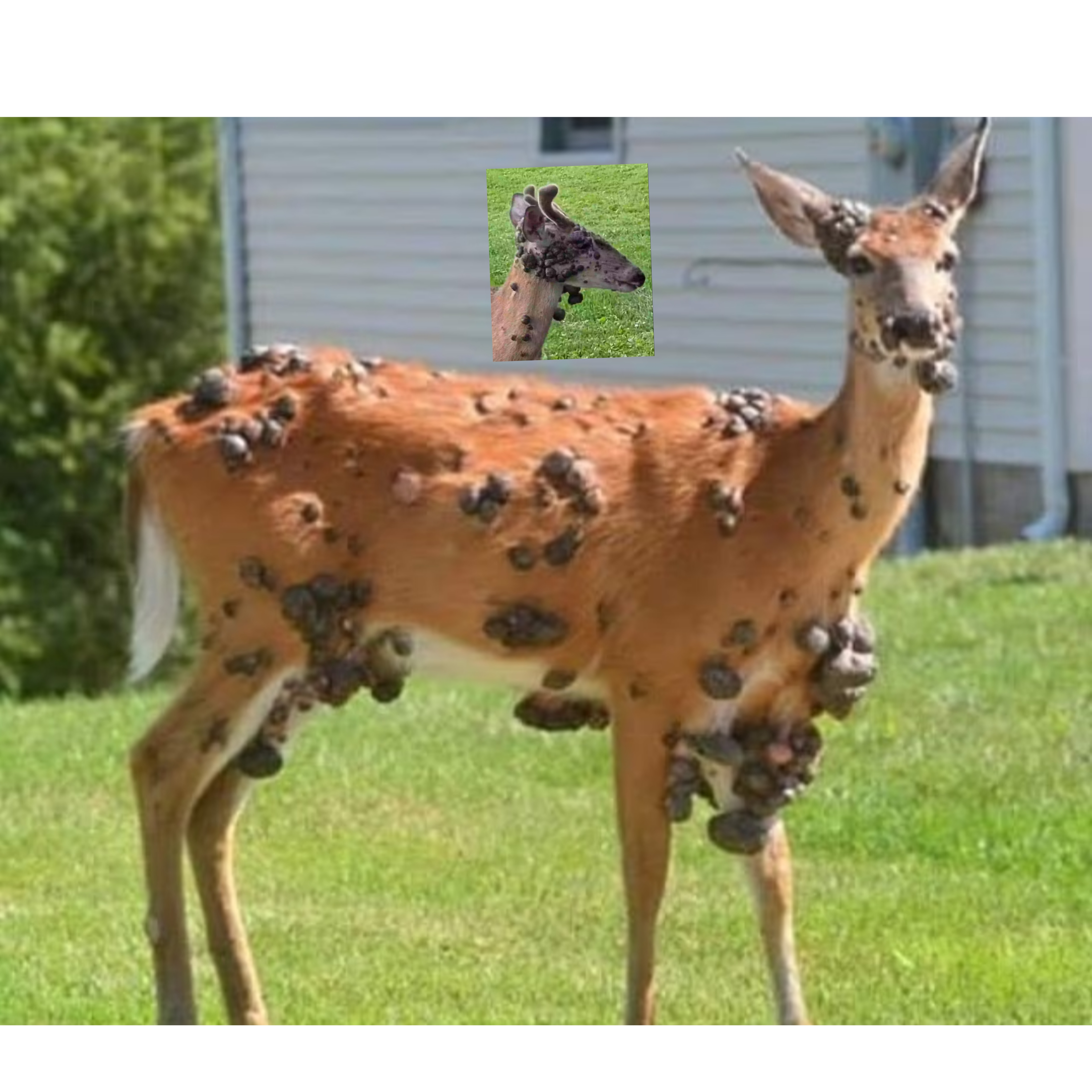 InCollage_20250821_170742984