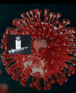 Screenshot_20250808-140359.InCollage - Collage Maker